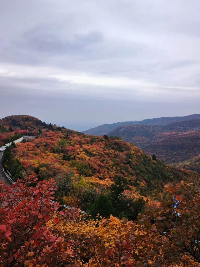 晋阳点心_晋南点心_晋阳饭庄必点菜